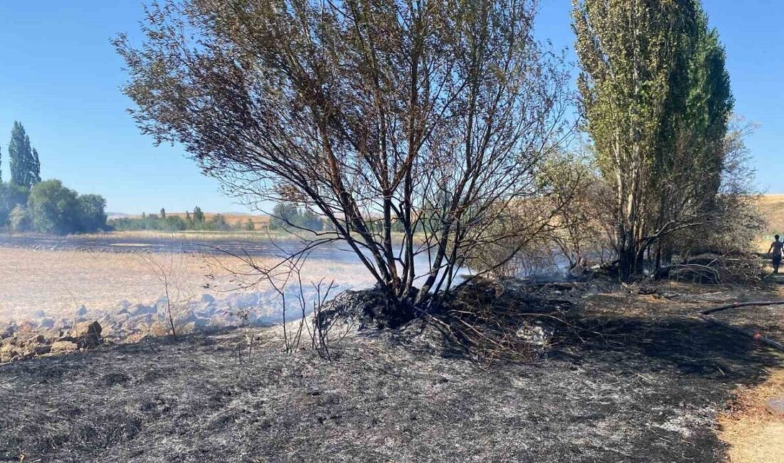 Çorum’un Alaca ilçesine bağlı Akören köyünde çıkan anız yangınında, 5