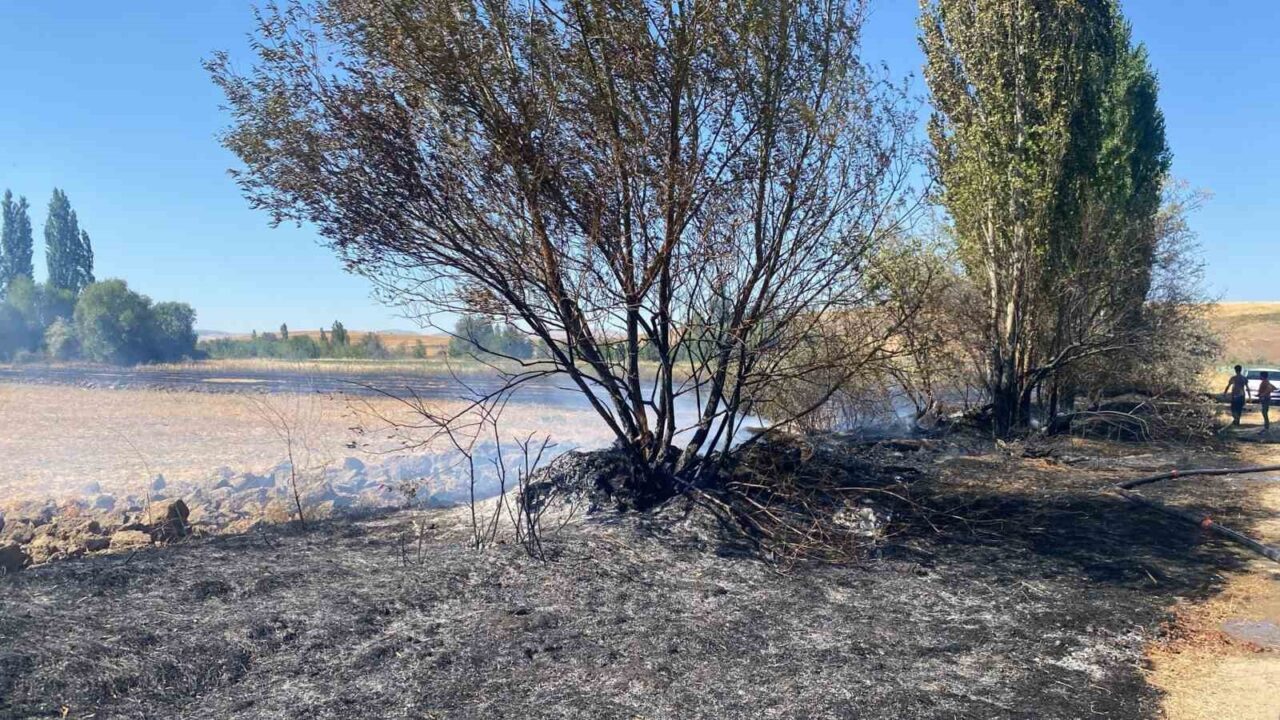 Çorum’un Alaca ilçesine bağlı Akören köyünde çıkan anız yangınında, 5