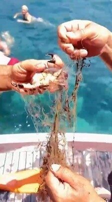 Antalya’nın Alanya ilçesi açıklarında denize bırakılan hayalet ağa takılan üç