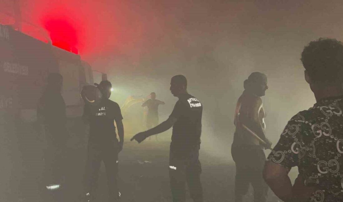 Antalya’nın Alanya ilçesinde gece saatlerinde çıkan orman yangınında yaklaşık 3