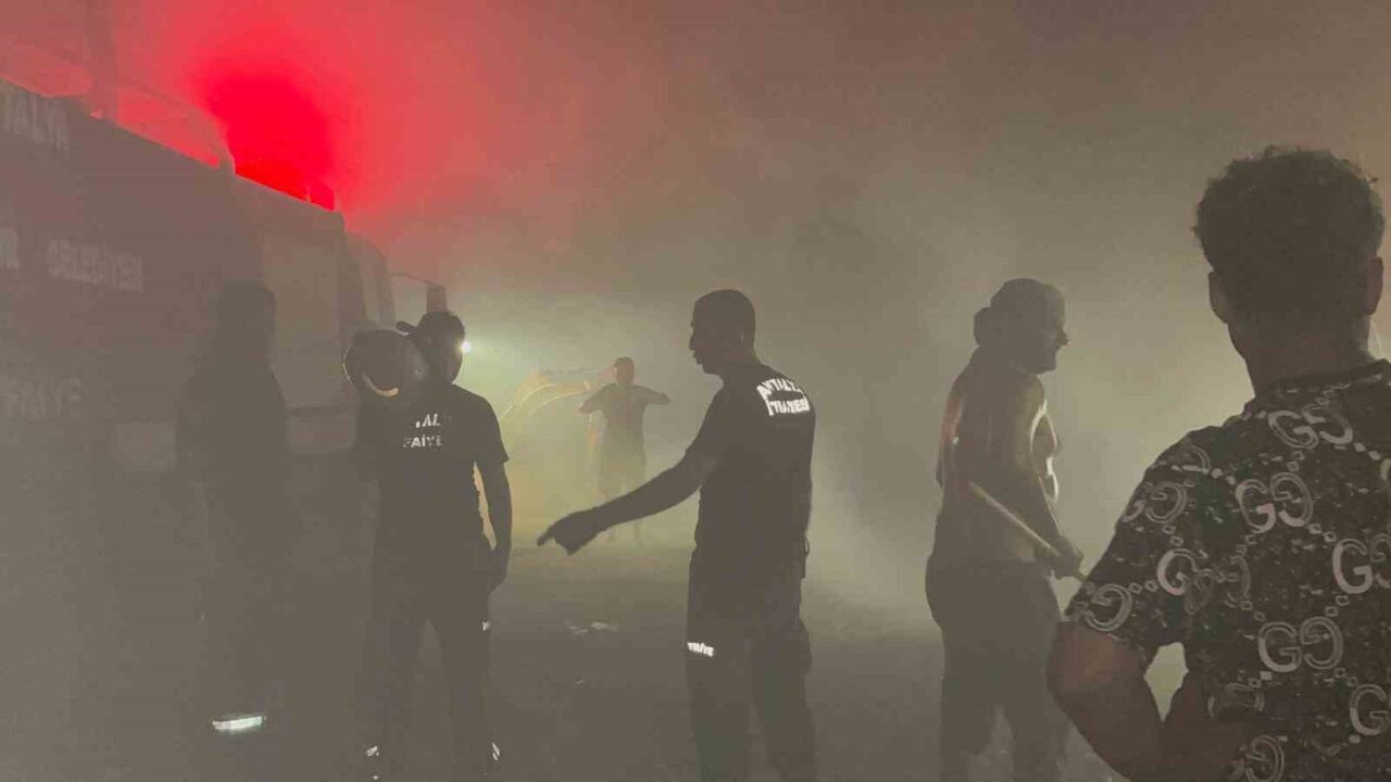 Antalya’nın Alanya ilçesinde gece saatlerinde çıkan orman yangınında yaklaşık 3