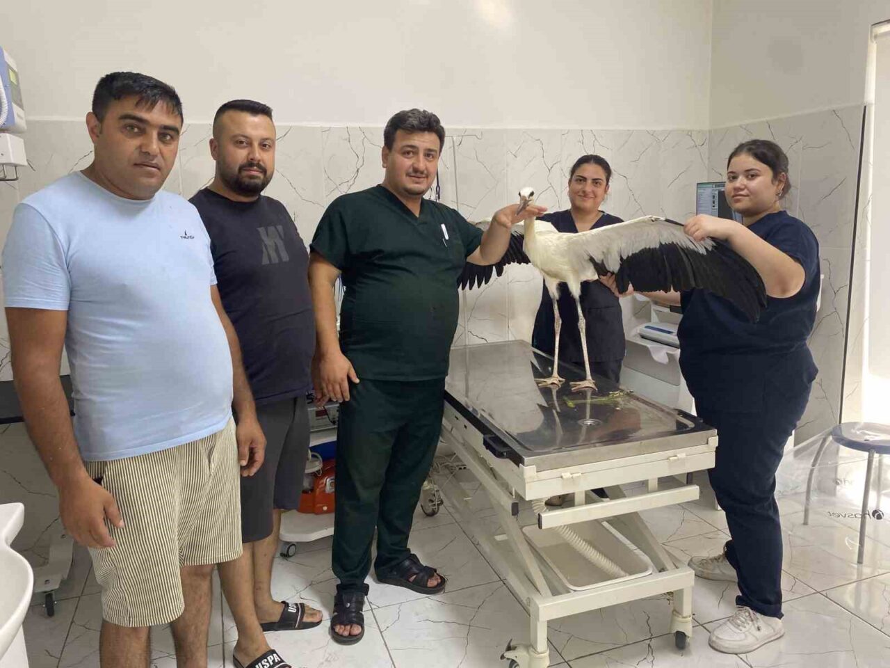 Manisa’nın Alaşehir ilçesinde susuz kalan ve yorgun düşen bir leylek,