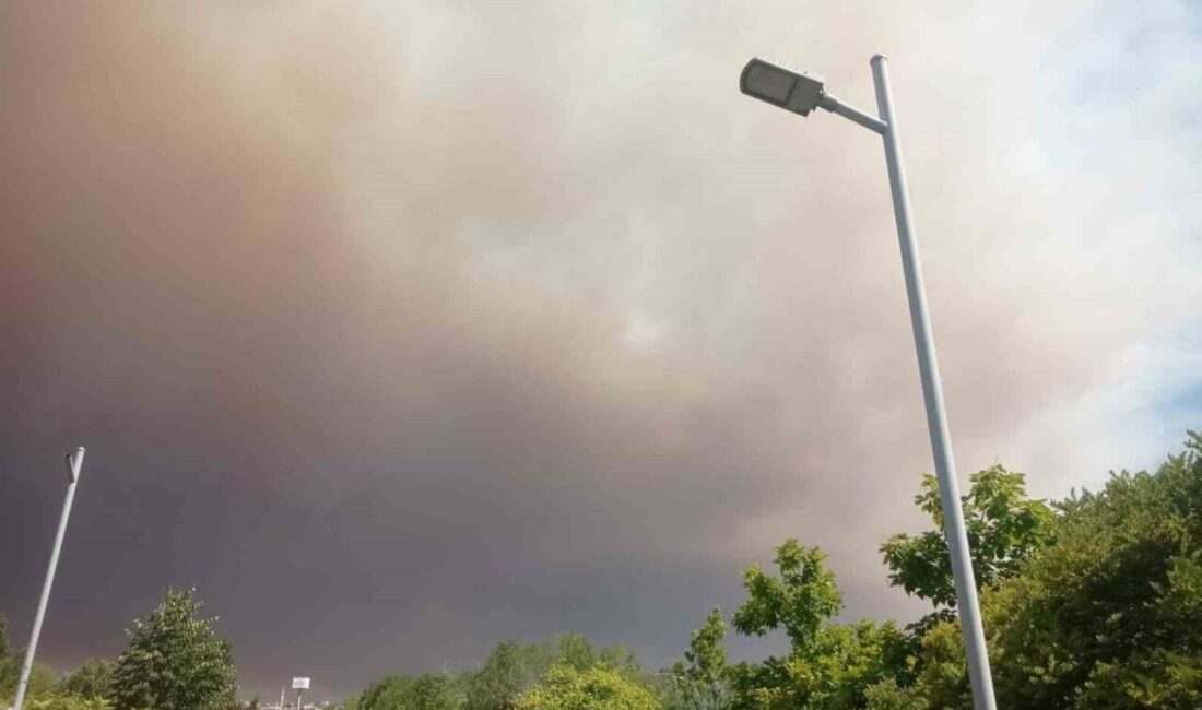 Sakarya’da çıkan orman yangını Bilecik’e yaklaşırken Osmaneli Belediyesi ilçede anonslar