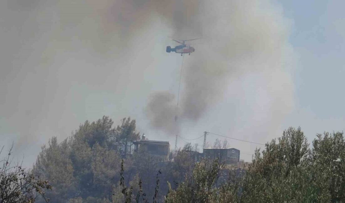Antalya’nın Aksu ilçesinde çıkan orman yangınında itfaiye ve orman ekiplerinin