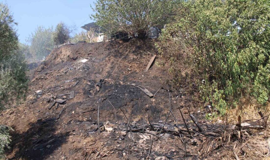 Aydın’ın Efeler ilçesinde otluk alanda çıkan ve geniş alana yayılan