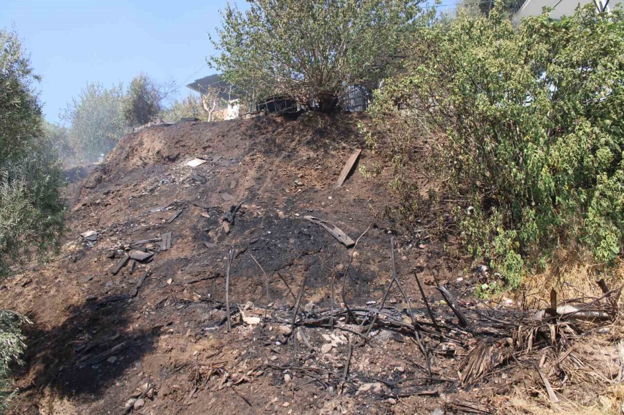 Aydın’ın Efeler ilçesinde otluk alanda çıkan ve geniş alana yayılan