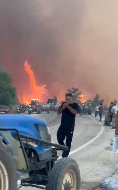 Kestel ile Gürsu arasındaki ormanlık alanda başlayan yangın, rüzgarın etkisiyle