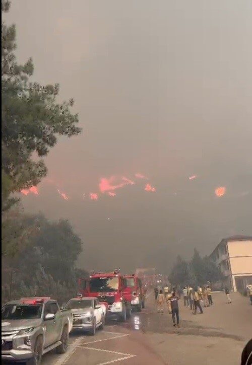Bilecik’te 4 gün önce başlayan orman yangını bugün öğleden sonra