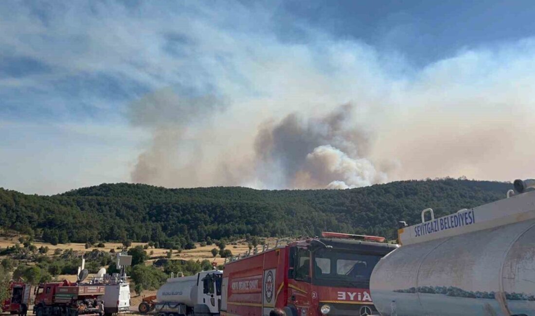 Eskişehir’in Seyigazi ilçesinde çıkan orman yangınında söndürme çalışmaları sırasında alevlerin