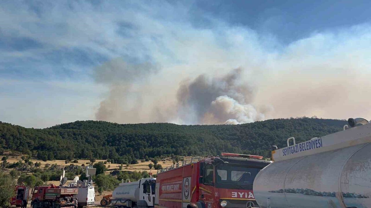Eskişehir’in Seyigazi ilçesinde çıkan orman yangınında söndürme çalışmaları sırasında alevlerin