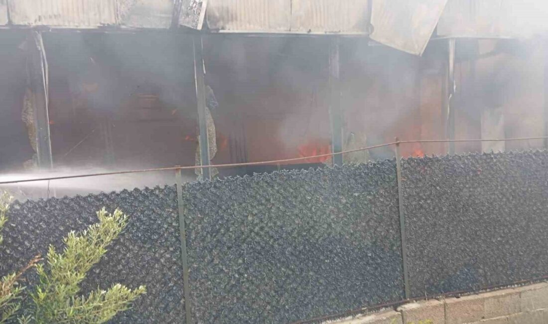 Hatay’da bir kafe ve çocuk oyun merkezinin bulunduğu alanda çıkan