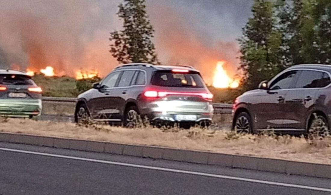 İzmir’in Aliağa ilçesinde otluk alanda çıkan yangın Çanakkale-İzmir Devlet Karayolu’na