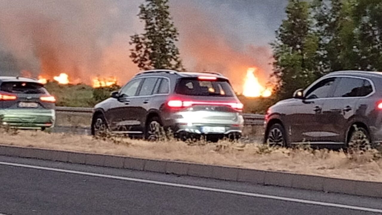 İzmir’in Aliağa ilçesinde otluk alanda çıkan yangın Çanakkale-İzmir Devlet Karayolu’na