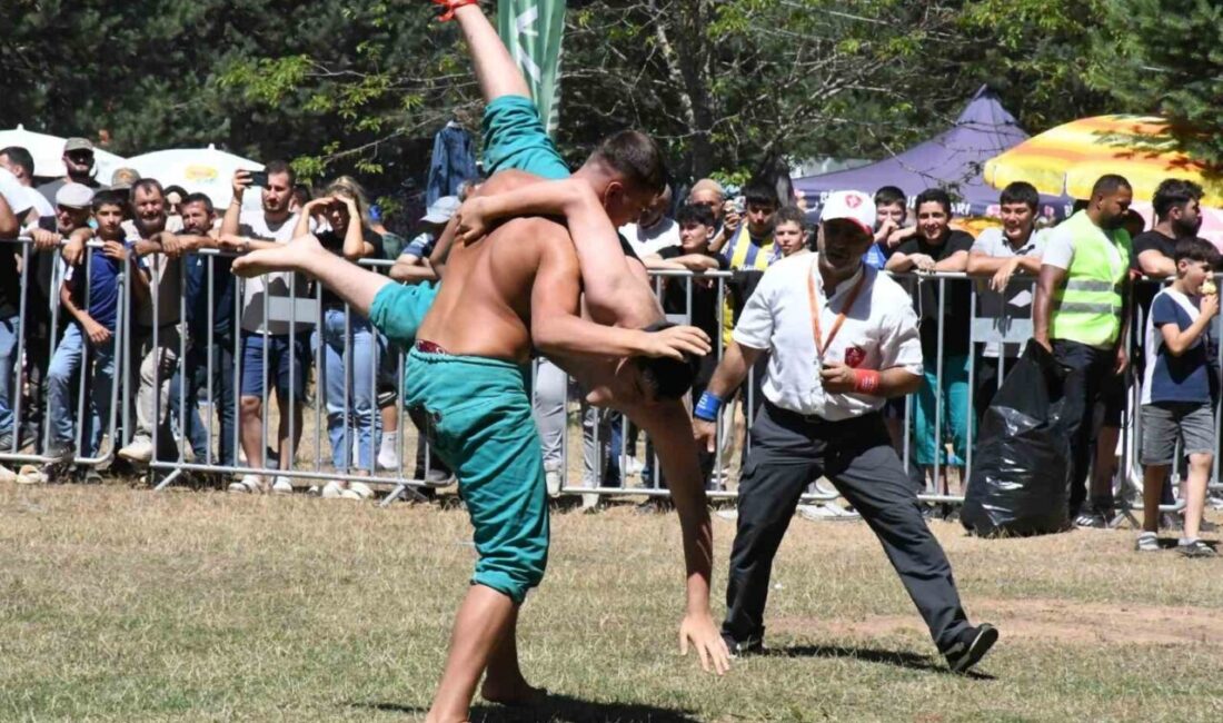 İznik, Elmalı Mahallesi Alıç Yaylası Karakucak Güreşleri muhteşem bir katılım