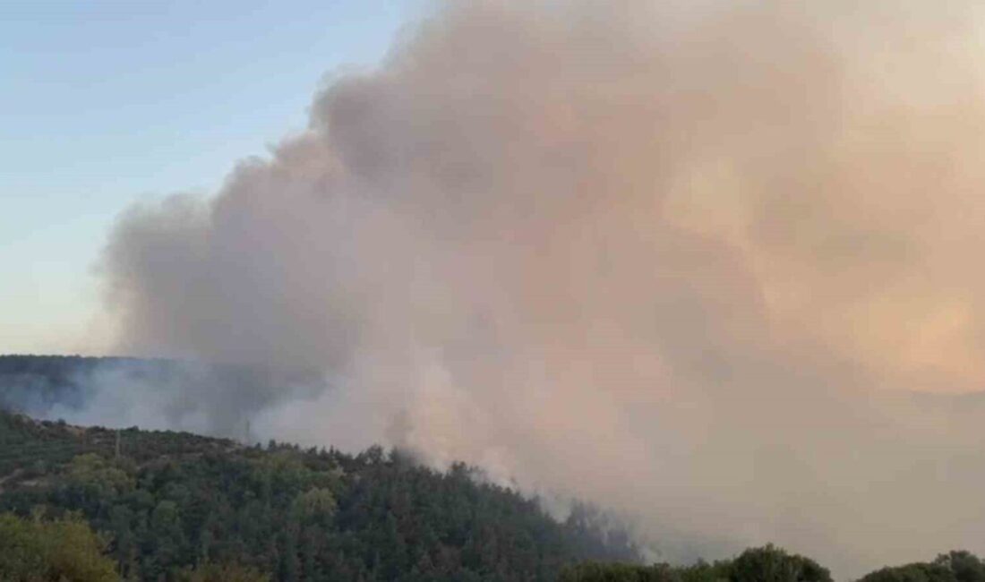 Balıkesir’in Altıeylül ilçesinde çıkan orman yangınına müdahale sürüyor. Altıeylül ilçesine