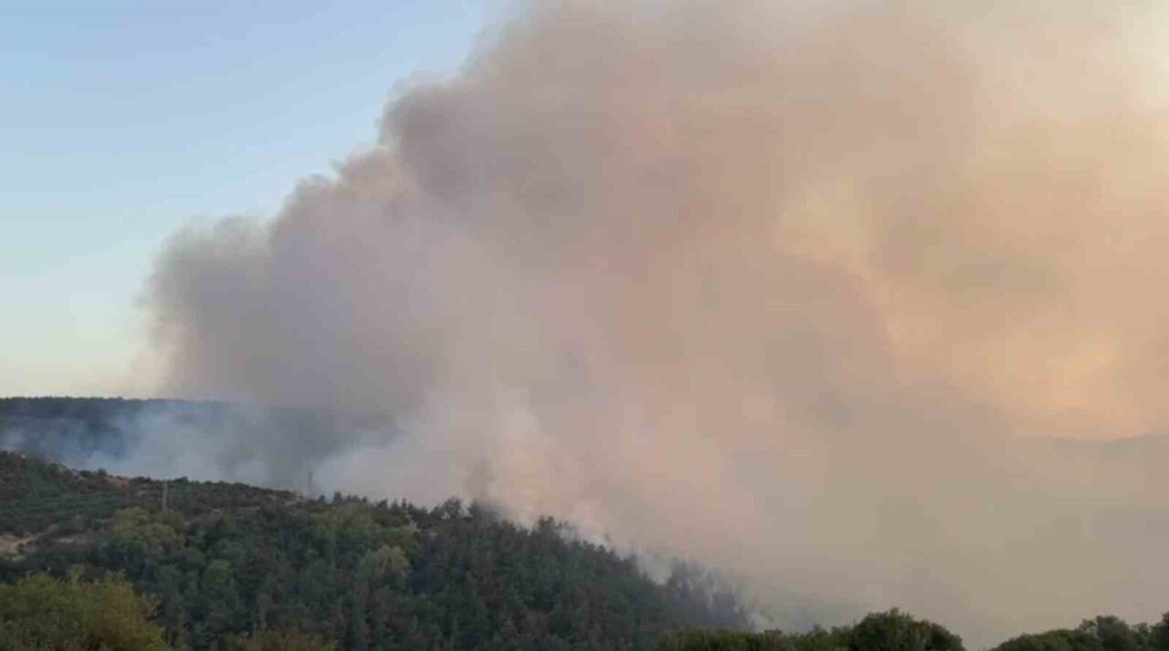 Balıkesir’in Altıeylül ilçesinde çıkan orman yangınına müdahale sürüyor. Altıeylül ilçesine