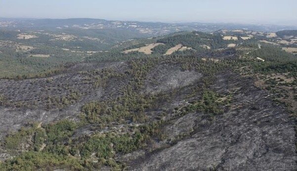 Balıkesir’in Altıeylül ilçesinde gece müdahalesi yapılan yangına sabah saatlerinde havadan