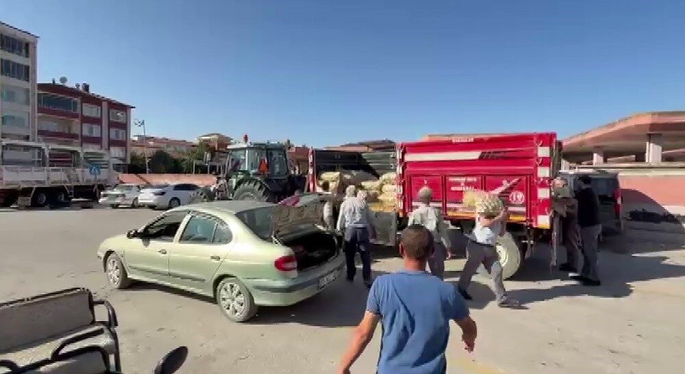 Amasya’da genç çiftçi, tarlasında hasat ettiği 8 ton patatesi halka