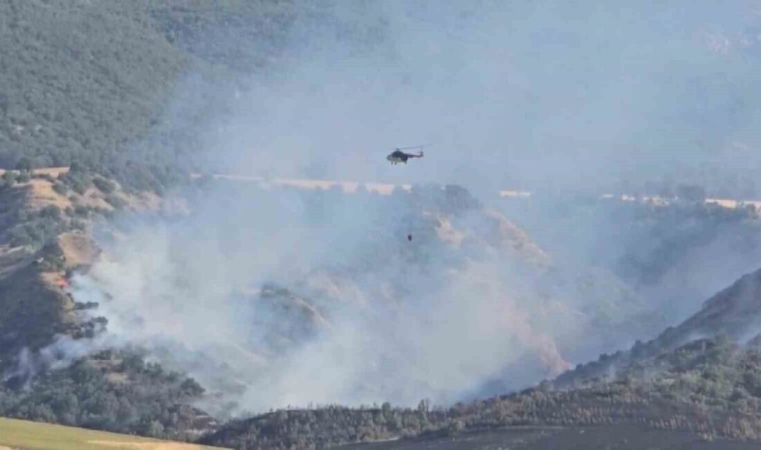 Amasya’da tarlada çıkan yangın ormana sıçradı. Alevlere ekiplerin yanı sıra