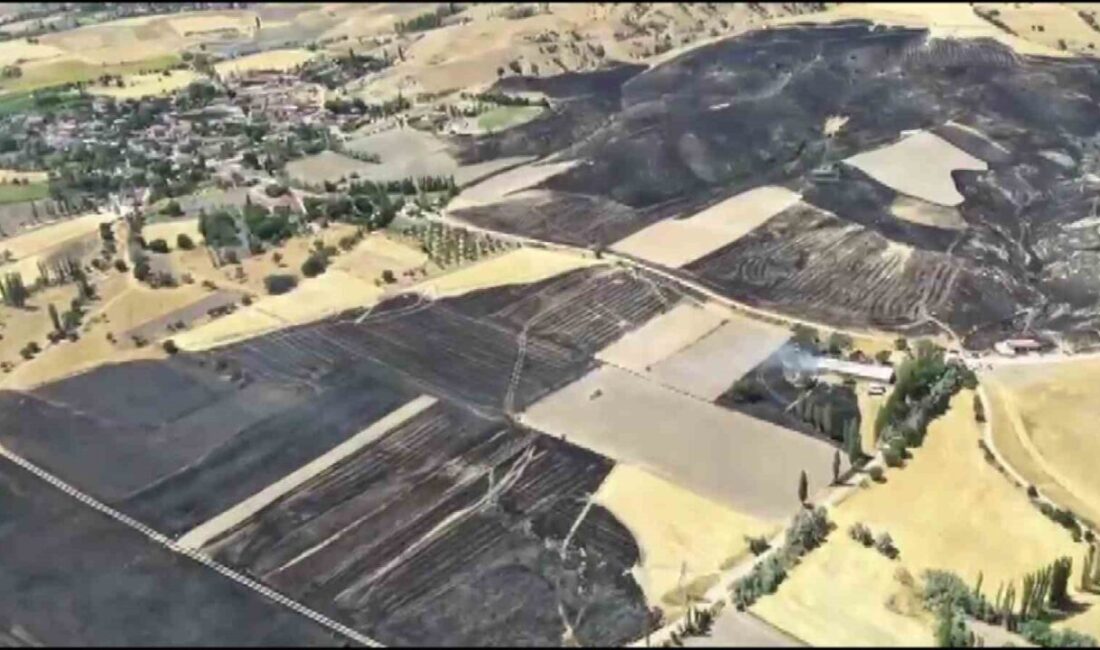 Amasya’nın Merzifon ilçesinde çıkan yangında yaklaşık 500 dönüm tarım arazisi