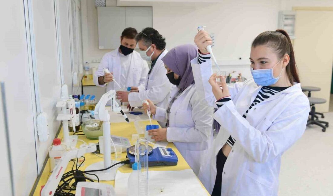 Anadolu Üniversitesi Yunus Emre Sağlık Hizmetleri Meslek Yüksekokulu, geniş uygulama