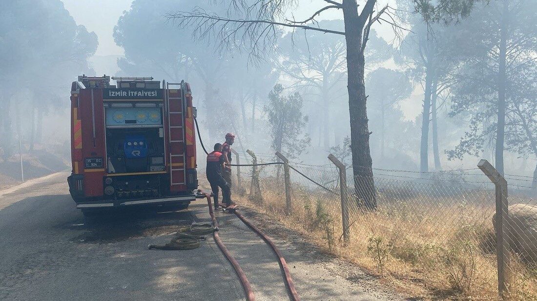 İzmir’in Bergama ilçesinde anız yakımı sırasında çıktığı değerlendirilen yangın ormana