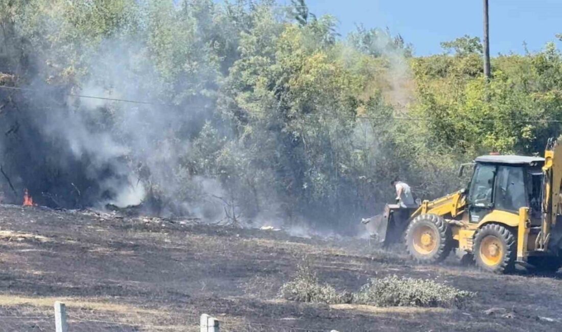 Bartın Aladağ Mahallesi’nde yakılan anızdan sıçrayan alevler otluk alana sıçradı.