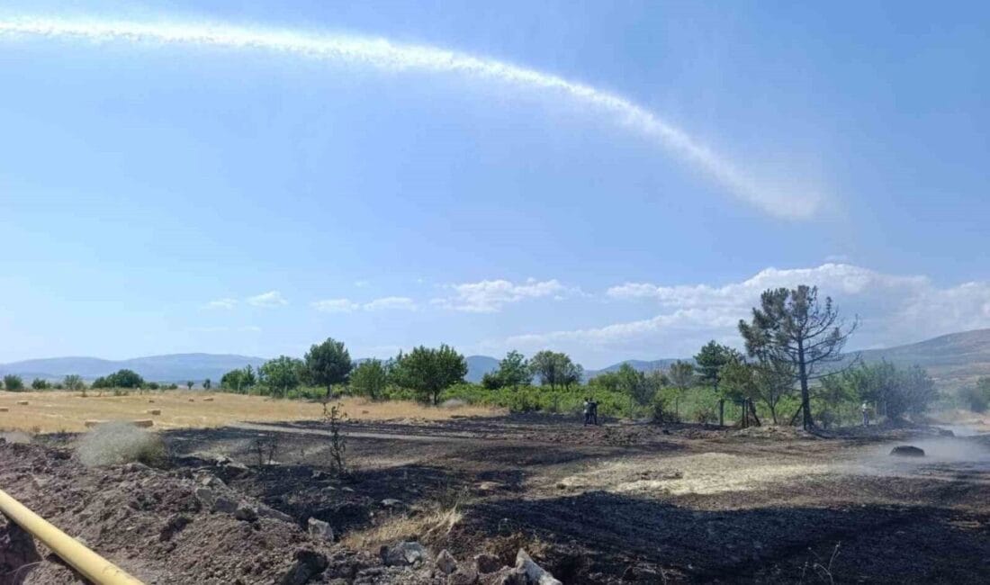 Ankara’nın Beypazarı ilçesinde buğday ekili 40 dönümlük arazi yandı. Olay,