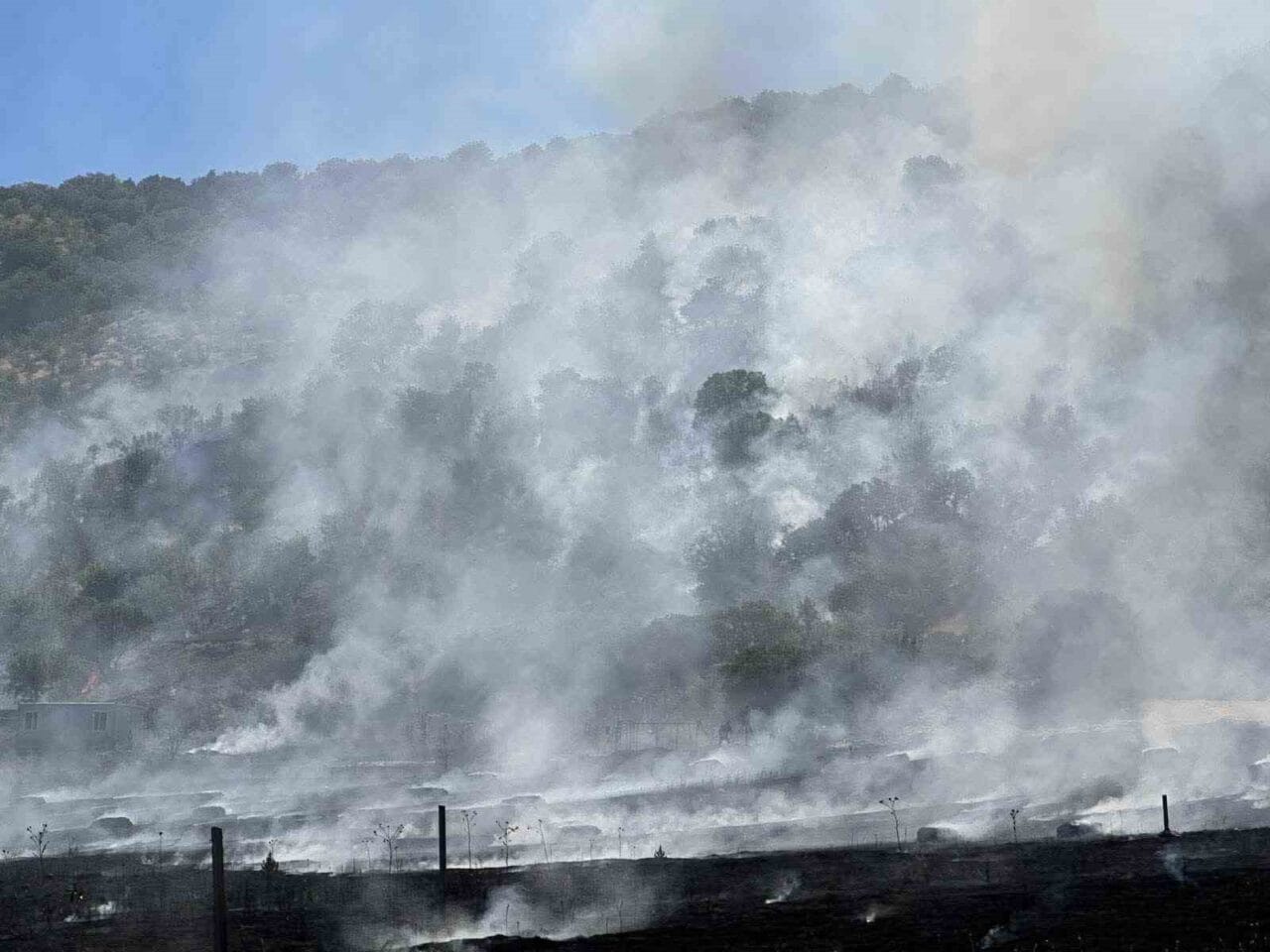 Ankara’nın Güdül ilçesinde çıkan tarla yangını söndürüldü. Olay, Yeşilöz Mahallesi’nde