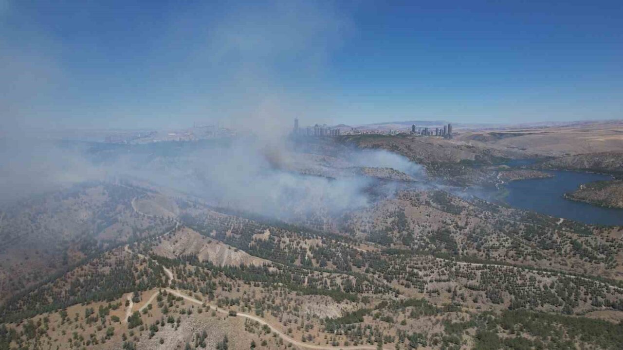 Ankara’da Orta Doğu Teknik Üniversitesi (ODTÜ) ormanlık alanında çıkan yangın,