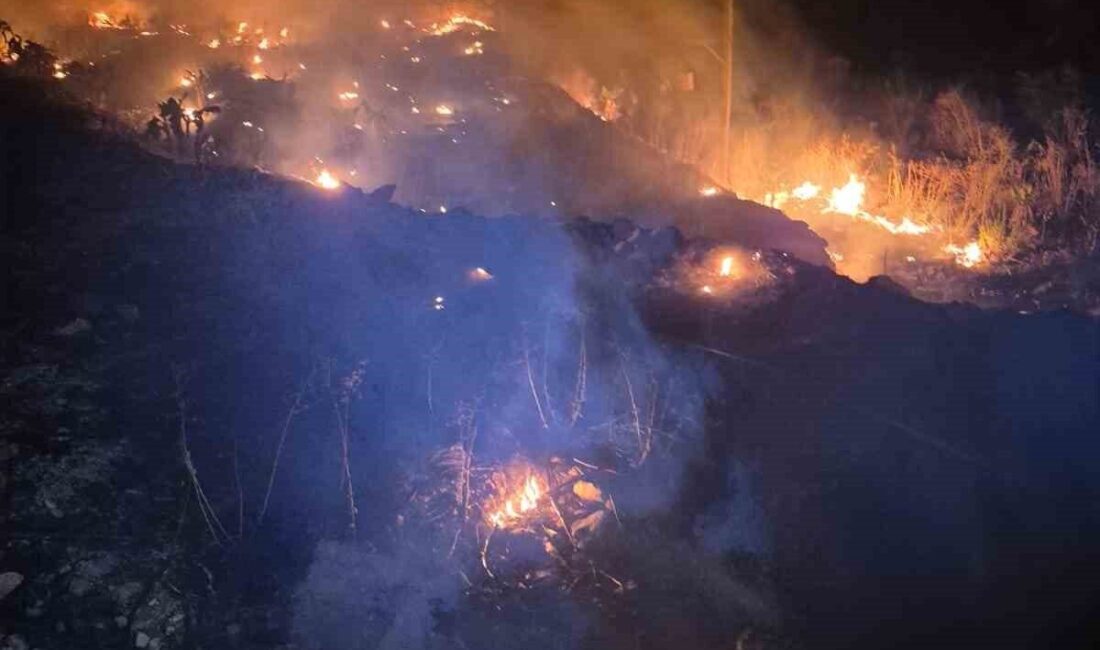 Antalya Büyükşehir Belediyesi İtfaiyesi, yangın riskinin yoğun olması sebebiyle teyakkuzda