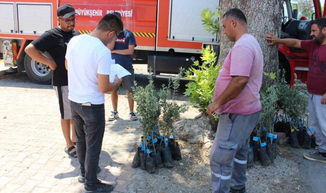 Antalya Büyükşehir Belediyesi, tarımsal üretimi desteklemek ve kırsal kalkınmayı sağlamak