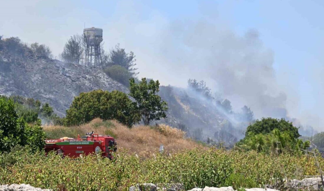 Antalya’nın Aksu, Manavgat, Muratpaşa ve Gazipaşa ilçelerinde çıkan orman yangınlarına
