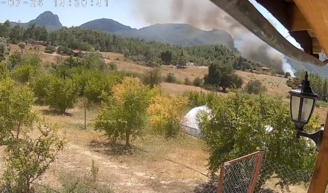 Antalya’nın Serik ilçesinde ormanlık alanda çıkan yangında 3 ev ve