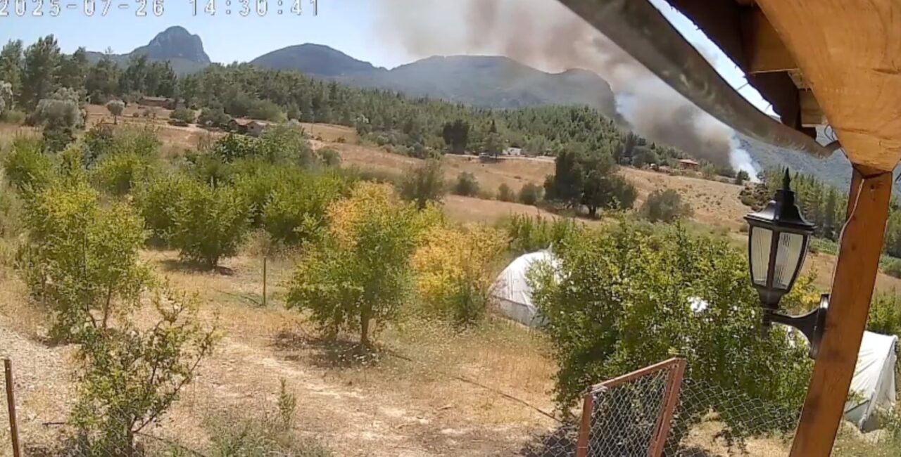 Antalya’nın Serik ilçesinde ormanlık alanda çıkan yangında 3 ev ve