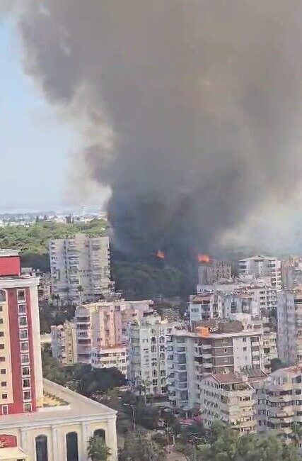 Antalya’nın Muratpaşa ilçesi Güzeloba Mahallesi’nde ormanlık alanda yangın çıktı. Edinilen