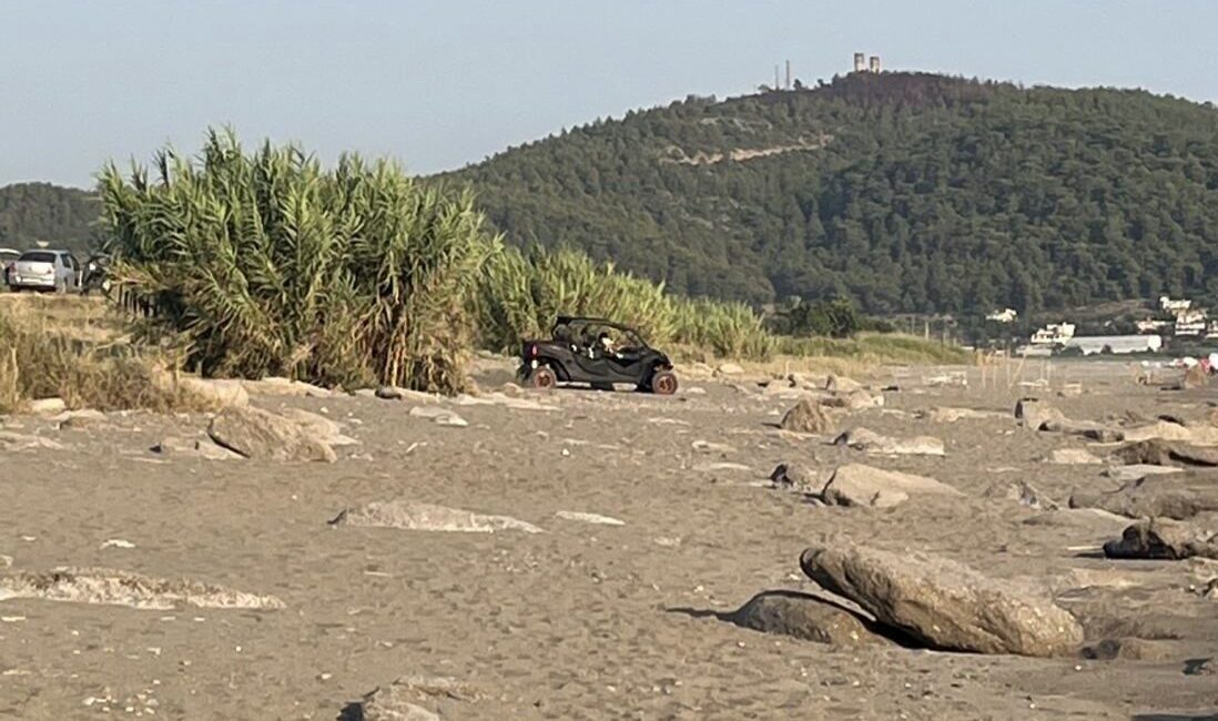 Antalya’nın Gazipaşa ilçesinde caretta caretta yuvalarının köpekler, araçlar ve atlar
