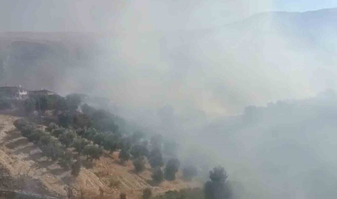 Antalya’nın Manavgat ilçesi Değirmenli Mahallesi’nde evlere yakın çalılık alanda yangın