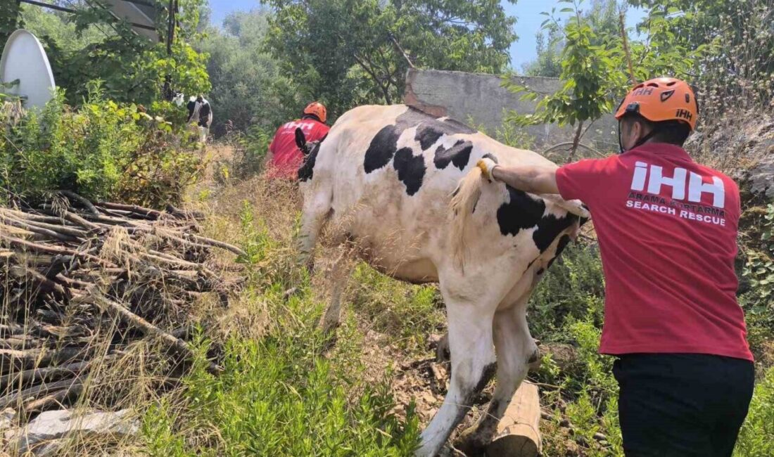 Antalya’nın Gazipaşa ilçesi Doğanca Mahallesi’nde çıkan orman yangını, rüzgarın etkisiyle