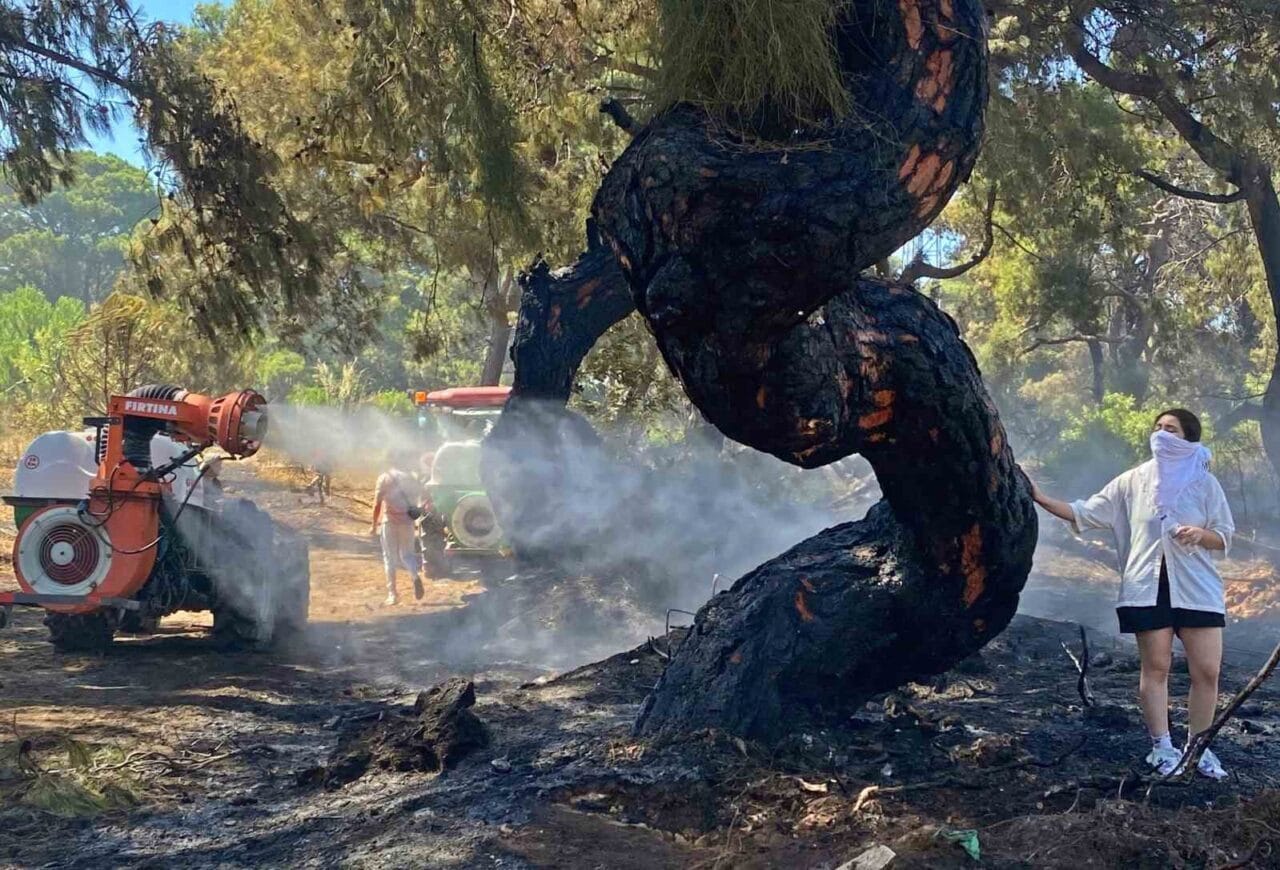 Antalya’nın Muratpaşa çıkan orman yangını, havadan ve karadan müdahale sonucu