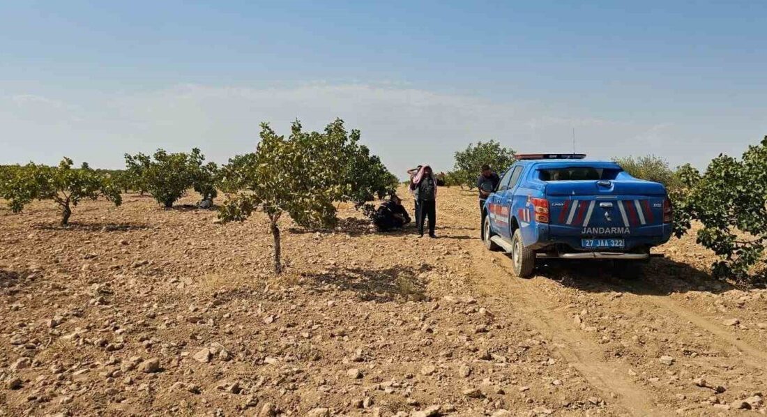 Gaziantep’in Karkamış ilçesinde Antep fıstığı hasadı yaparken fenalaşan ve kalp