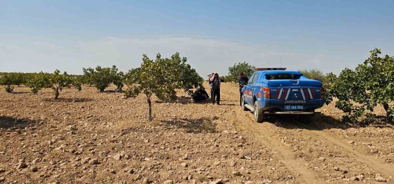 Gaziantep’in Karkamış ilçesinde Antep fıstığı hasadı yaparken fenalaşan ve kalp