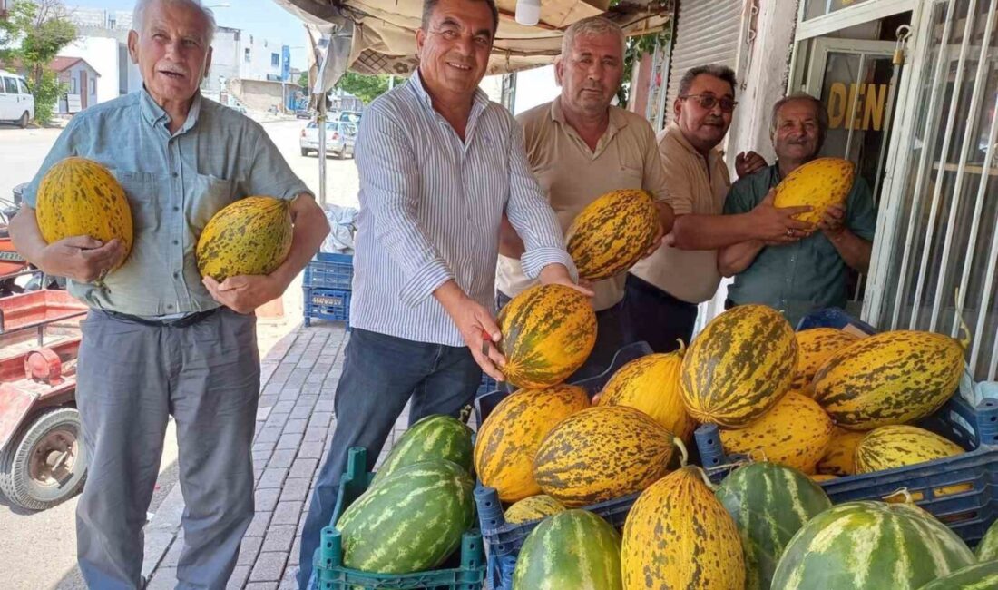 Güneydoğu Anadolu Bölgesi’nin önemli tarım merkezlerinden biri olan Gaziantep’in Araban