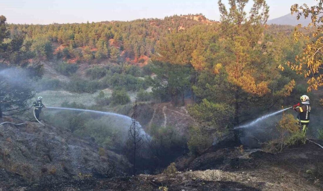 Denizli’de araç yanması başlayan orman yangını ekiplerin kısa süredeki müdahalesiyle