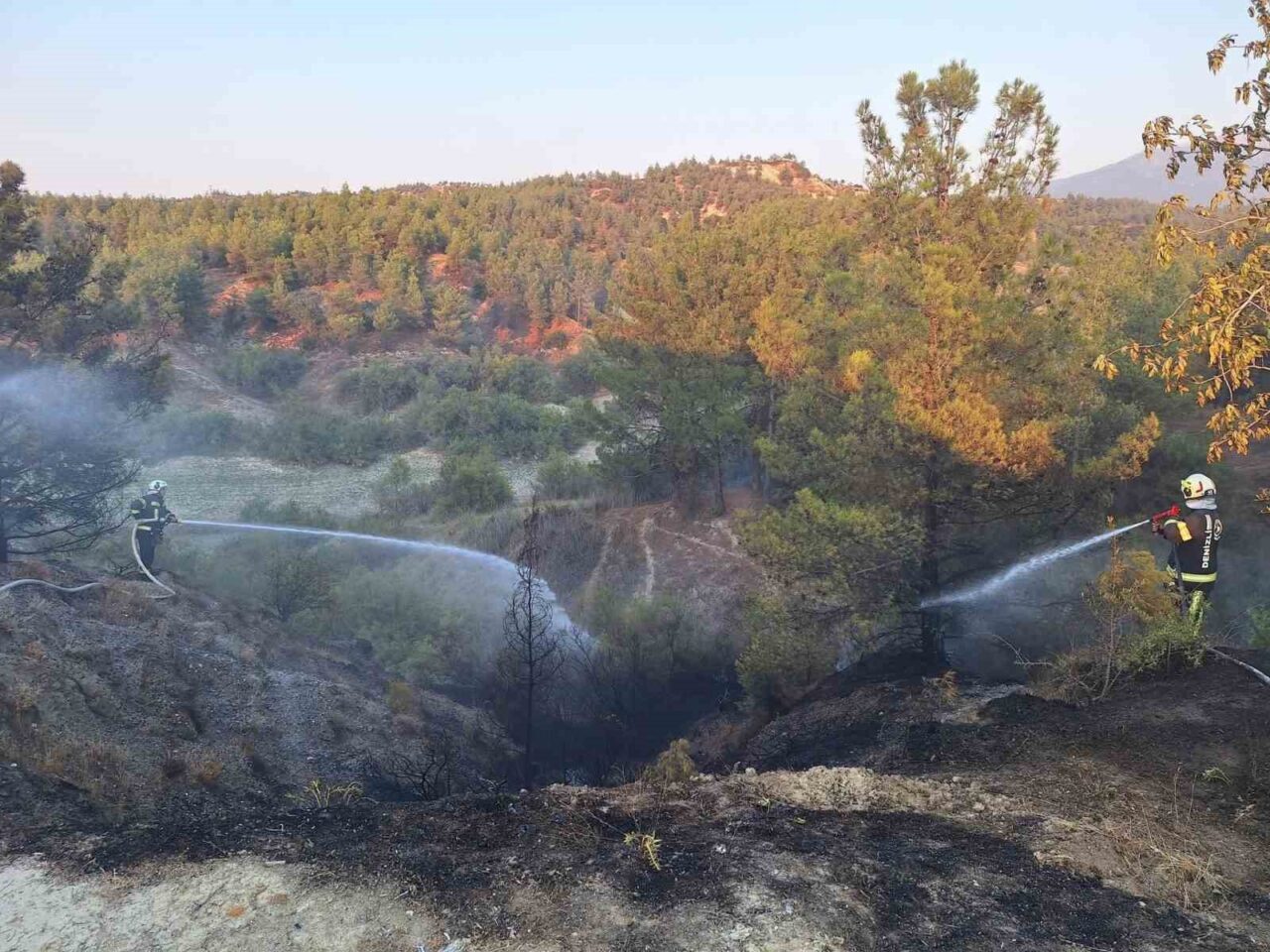 Denizli’de araç yanması başlayan orman yangını ekiplerin kısa süredeki müdahalesiyle