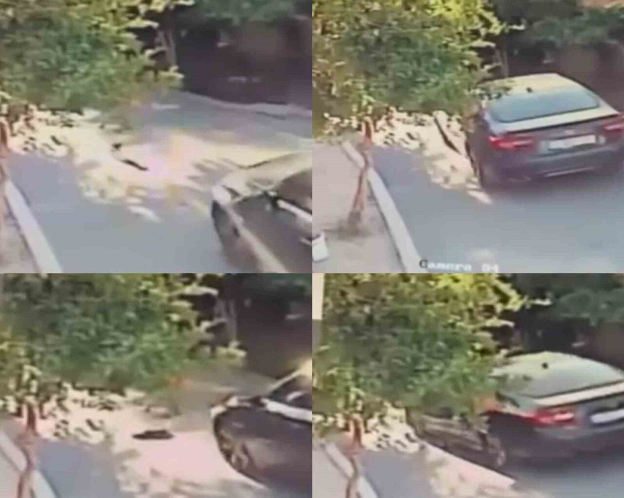 Mersin’de bir köpeğin, aracın üzerinden geçmesi sonucu telef olduğu anlar