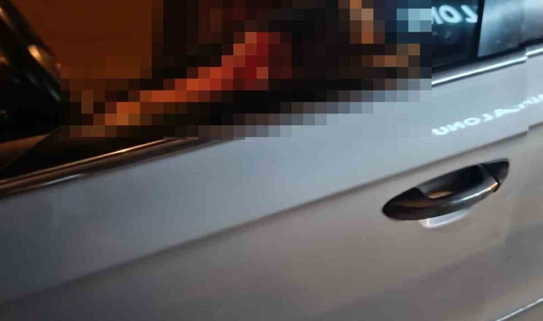 Elazığ’da bir vatandaş, arkadaşıyla tartışmasının ardından aracını yolun kenarına çekerek,