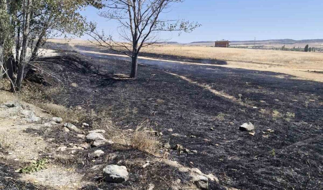 Eskişehir’de bir arazide çıkan yangın, çiftçinin ve itfaiye ekiplerinin hızlı