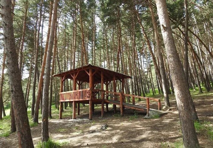 Ardahan Valiliği orman yangınlarının önlenmesi amacıyla, bazı piknik ve mesire