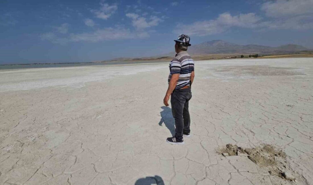 Bitlis’in Adilcevaz ilçesinde bulunan ve kuş cenneti olarak bilinen Arin